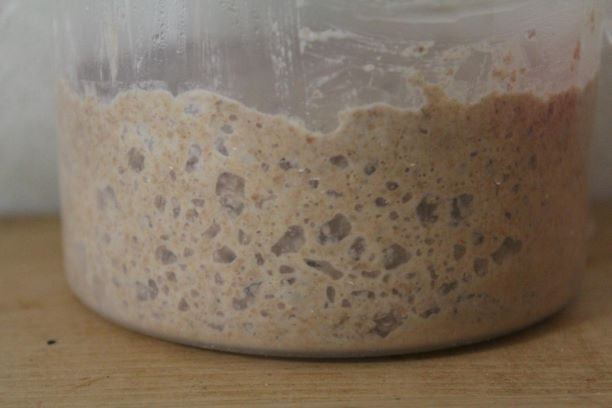 ライサワー種の作り方 種継ぎ 保存方法 小麦 自家製酵母で作るおうちパンレシピ